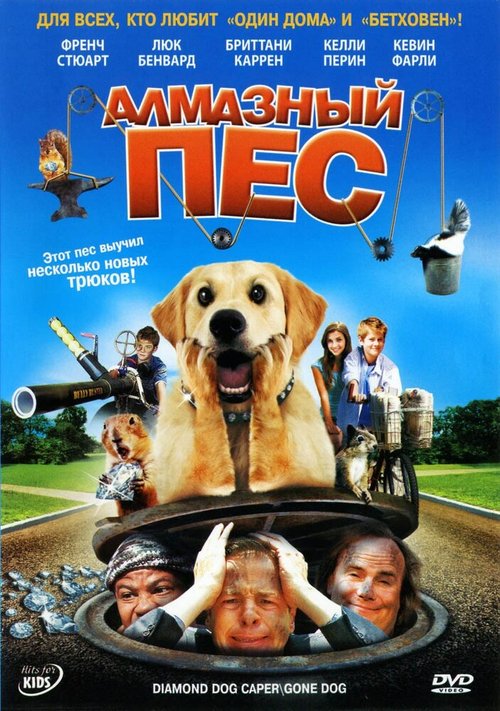 Смотреть фильм Алмазный пес / Dog Gone (2008) онлайн в хорошем качестве HDRip