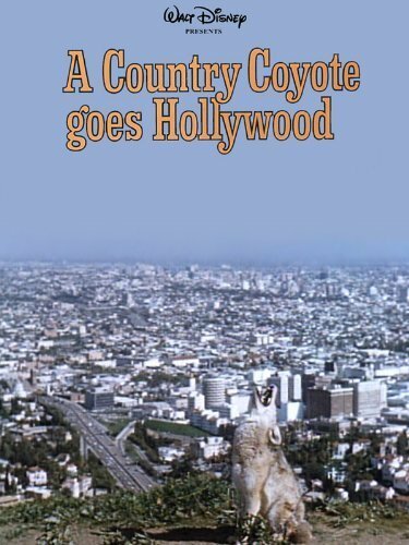 Смотреть фильм Американский волк идет в Голливуд / A Country Coyote Goes Hollywood (1965) онлайн в хорошем качестве SATRip