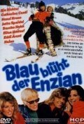 Смотреть фильм Blau blüht der Enzian (1973) онлайн в хорошем качестве SATRip