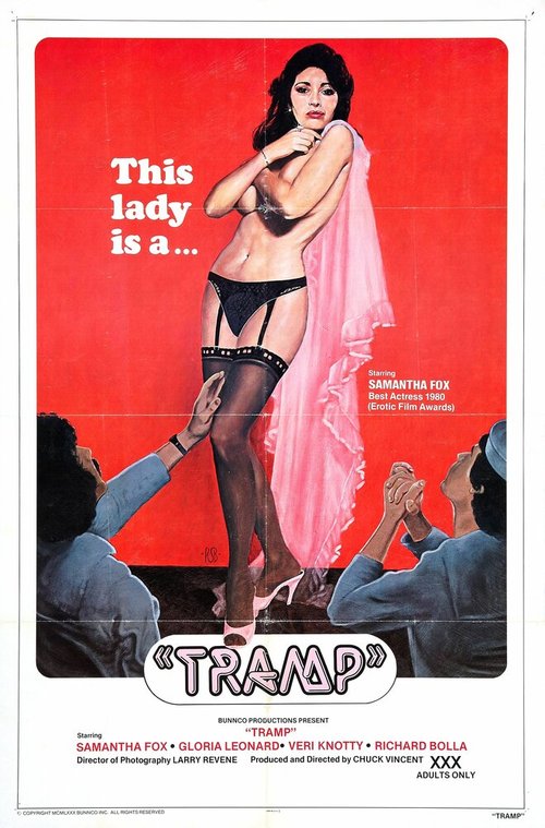 Смотреть фильм Бродяга / Tramp (1980) онлайн в хорошем качестве SATRip
