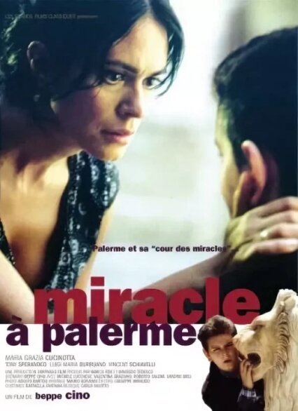 Смотреть фильм Чудо в Палермо / Miracolo a Palermo! (2005) онлайн в хорошем качестве HDRip