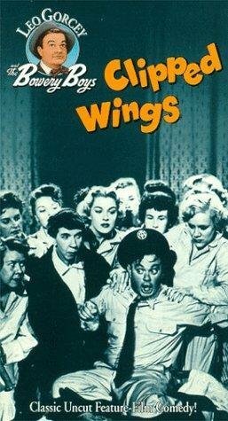 Смотреть фильм Clipped Wings (1953) онлайн в хорошем качестве SATRip
