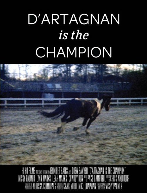 Смотреть фильм D'artagnan is the Champion (2014) онлайн в хорошем качестве HDRip