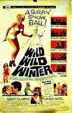 Смотреть фильм Дикая, дикая зима / Wild Wild Winter (1966) онлайн в хорошем качестве SATRip