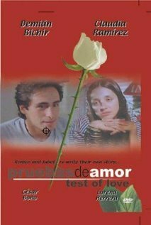 Смотреть фильм Доказательства любви / Pruebas de amor (1994) онлайн в хорошем качестве HDRip