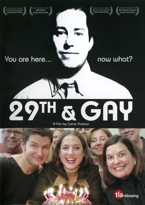 Смотреть фильм Двадцатидевятилетие гея / 29th and Gay (2005) онлайн в хорошем качестве HDRip