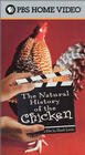 Смотреть фильм Естественная история курятины / The Natural History of the Chicken (2000) онлайн в хорошем качестве HDRip