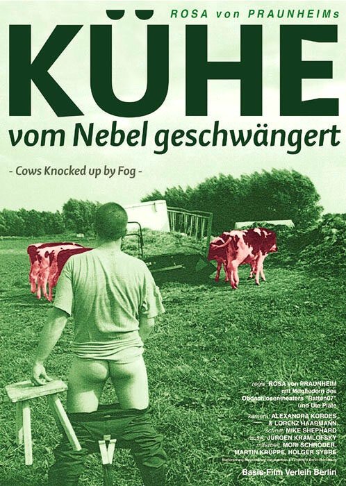 Коровы, забеременевшие от тумана / Kühe vom Nebel geschwängert