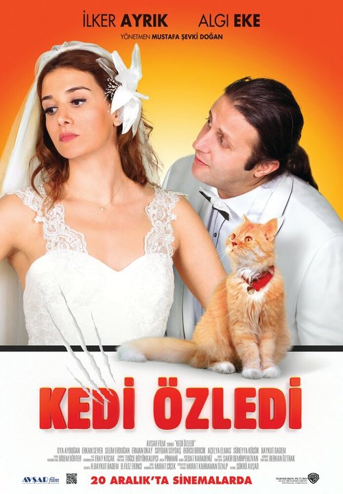 Смотреть фильм Кошки были пропущены / Kedi Özledi (2013) онлайн 