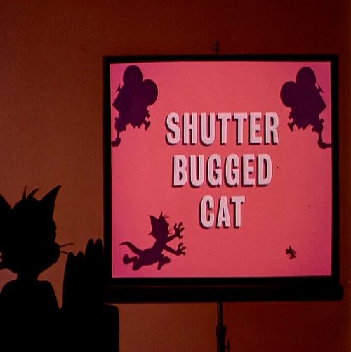 Кот скрытой камерой / Shutter Bugged Cat