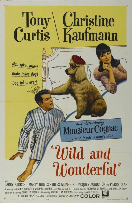 Смотреть фильм Неукротимый и прекрасный / Wild and Wonderful (1964) онлайн в хорошем качестве SATRip