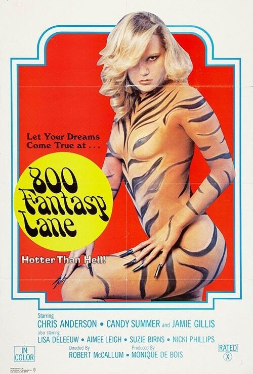 Смотреть фильм Переулок фантазий, 800 / 800 Fantasy Lane (1979) онлайн в хорошем качестве SATRip