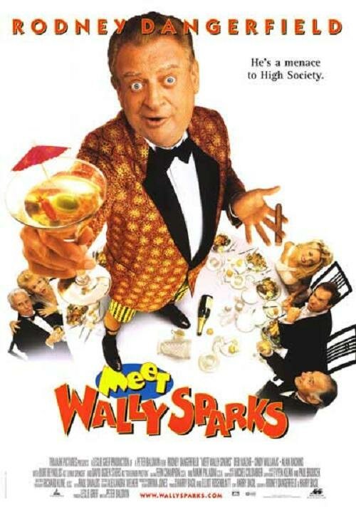 Смотреть фильм Познакомьтесь с Уолли Спарксом / Meet Wally Sparks (1996) онлайн в хорошем качестве HDRip