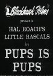 Смотреть фильм Щенки есть щенки / Pups Is Pups (1930) онлайн в хорошем качестве SATRip