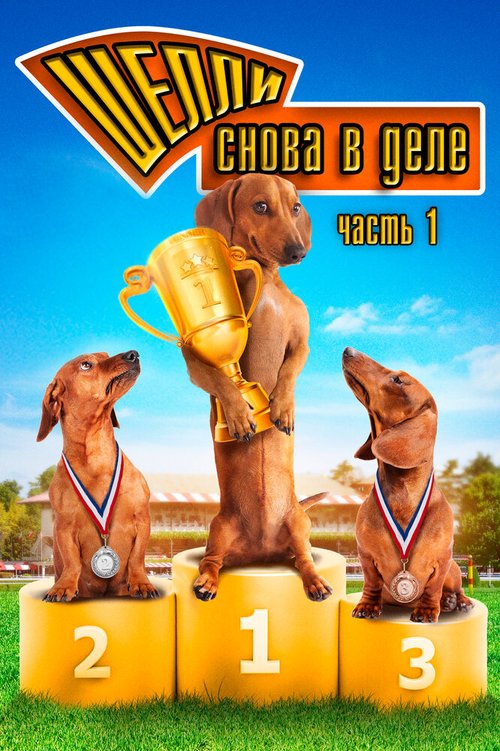 Шелли снова в деле: Часть 1 / Wiener Dog Nationals