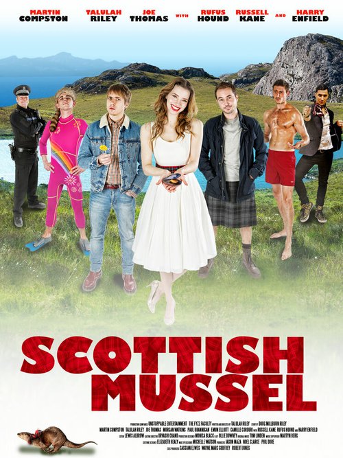 Шотландская мидия / Scottish Mussel