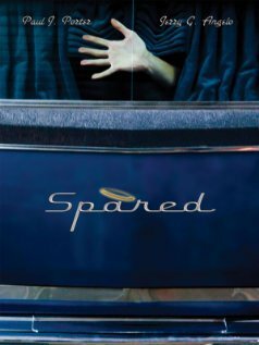 Смотреть фильм Spared (2008) онлайн 