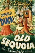 Смотреть фильм Старая секвойя / Old Sequoia (1945) онлайн 