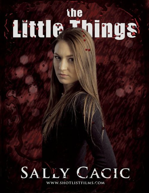 Смотреть фильм The Little Things (2015) онлайн 