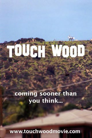 Смотреть фильм Touch Wood (2010) онлайн 