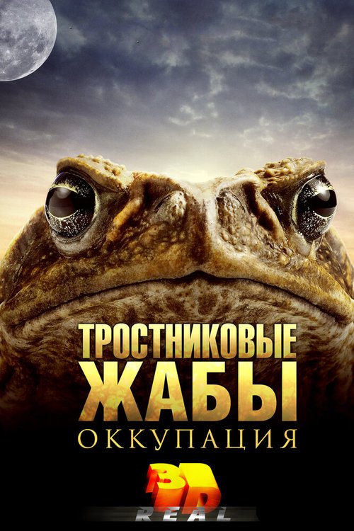 Смотреть фильм Тростниковые жабы: Оккупация / Cane Toads: The Conquest (2010) онлайн в хорошем качестве HDRip