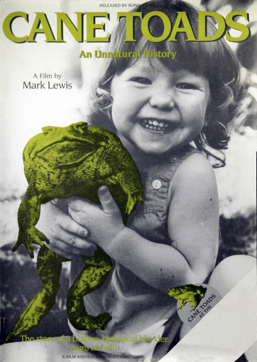 Смотреть фильм Тростниковые жабы / Cane Toads: An Unnatural History (1988) онлайн в хорошем качестве SATRip