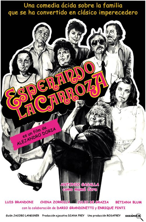 Смотреть фильм В ожидании перевозки / Esperando la carroza (1985) онлайн в хорошем качестве SATRip