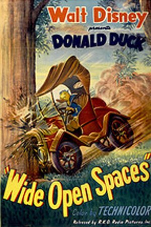 Смотреть фильм Wide Open Spaces (1947) онлайн 