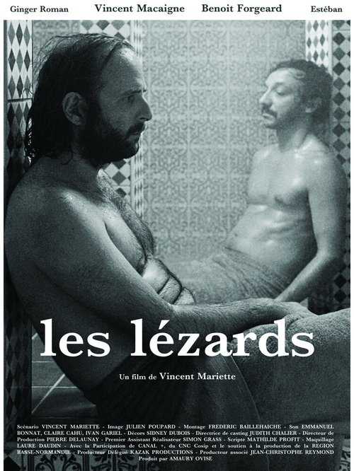 Смотреть фильм Ящерицы / Les lézards (2013) онлайн 