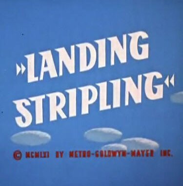 Желаем мягкой посадки / Landing Stripling