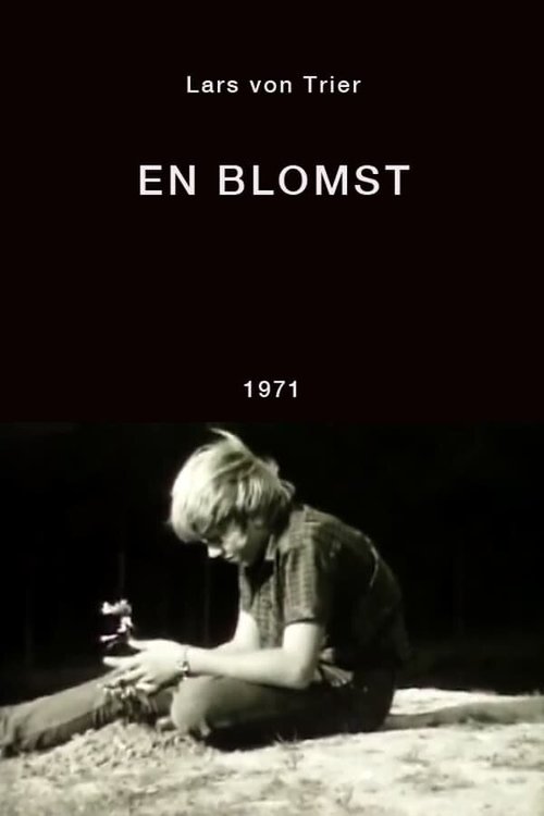 Смотреть фильм Цветок / En blomst (1971) онлайн 