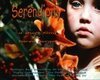 Смотреть фильм Serendipity (1992) онлайн 