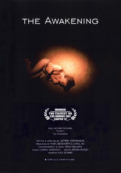Смотреть фильм The Awakening (1996) онлайн 