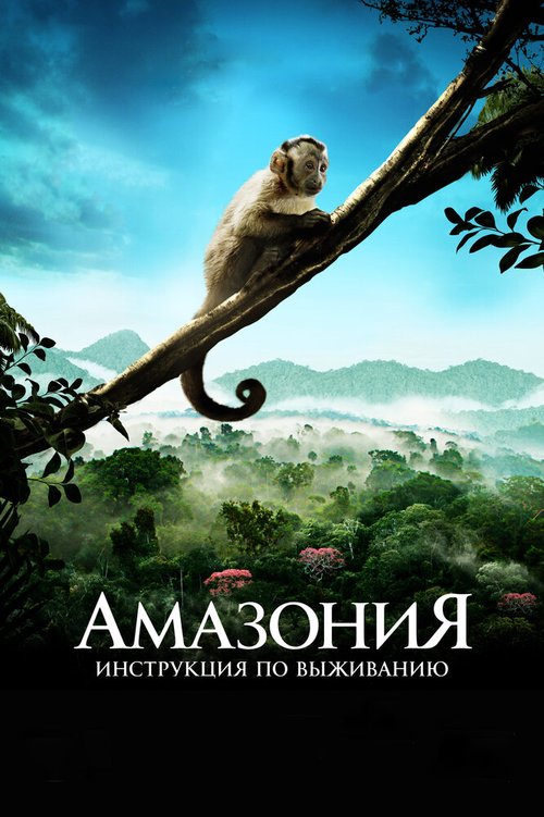Смотреть фильм Амазония: Инструкция по выживанию / Amazonia (2013) онлайн в хорошем качестве HDRip