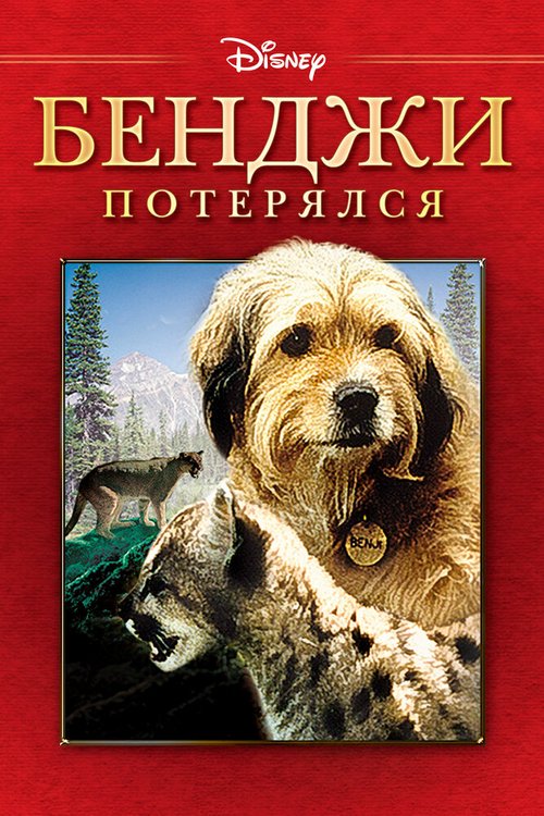 Смотреть фильм Бенджи потерялся / Benji the Hunted (1987) онлайн в хорошем качестве SATRip