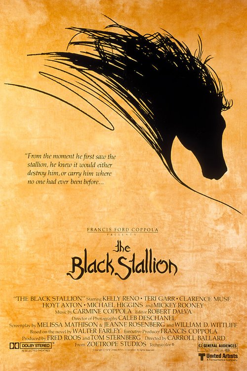 Смотреть фильм Черный скакун / The Black Stallion (1979) онлайн в хорошем качестве SATRip