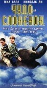 Смотреть фильм Чудо — слоненок / The Impossible Elephant (2001) онлайн в хорошем качестве HDRip