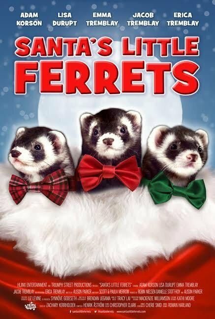 Смотреть фильм Маленькие хорьки Санты / Santa's Little Ferrets (2014) онлайн в хорошем качестве HDRip