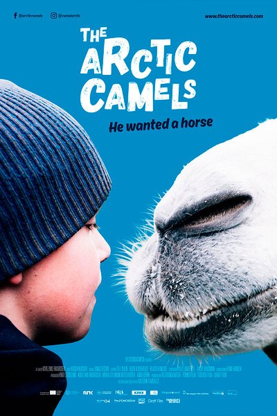 Смотреть фильм Мой друг северный верблюд / The Arctic Camels (2019) онлайн в хорошем качестве HDRip