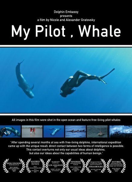 Смотреть фильм Мой пилот, кит (2014) онлайн в хорошем качестве HDRip