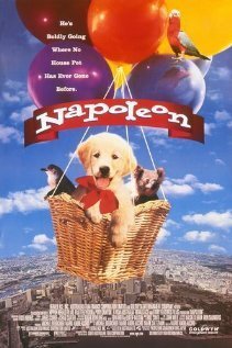 Смотреть фильм Наполеон / Napoleon (1995) онлайн в хорошем качестве HDRip