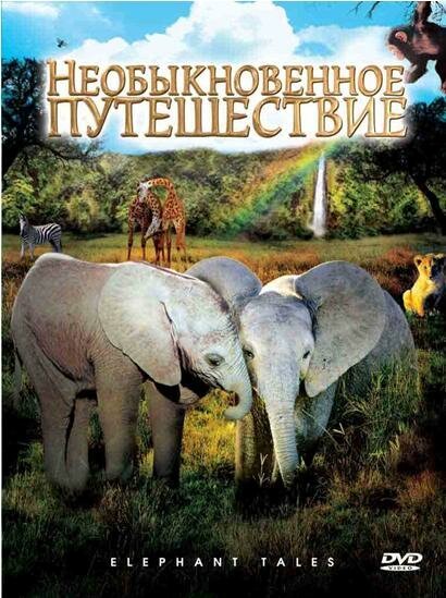 Смотреть фильм Необыкновенное путешествие: История про двух слонят / Elephant Tales (2006) онлайн в хорошем качестве HDRip