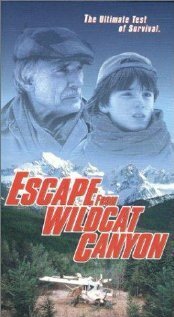 Смотреть фильм Побег из Уайлдкэт-Каньон / Escape from Wildcat Canyon (1998) онлайн в хорошем качестве HDRip