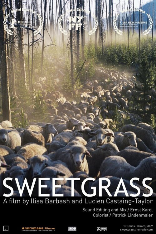 Смотреть фильм Последний ковбой / Sweetgrass (2009) онлайн в хорошем качестве HDRip
