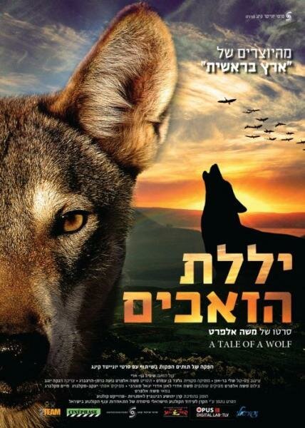 Смотреть фильм Рассказ о волке / A Tale of a Wolf (2013) онлайн в хорошем качестве HDRip