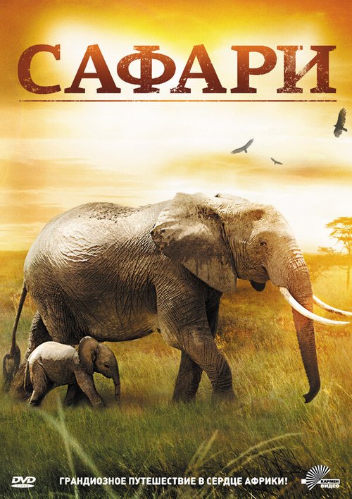 Сафари / 3D Safari: Africa