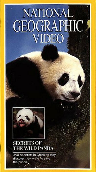 Смотреть фильм Secrets of the Wild Panda (1995) онлайн в хорошем качестве HDRip