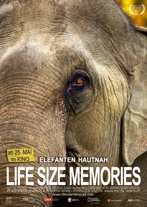 Смотреть фильм Слоны как они есть / Life Size Memories (2012) онлайн в хорошем качестве HDRip