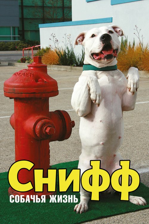 Смотреть фильм Снифф: Собачья жизнь / Sniff: The Dog Movie (2009) онлайн в хорошем качестве HDRip