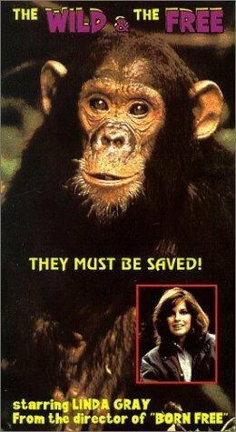 Смотреть фильм The Wild and the Free (1980) онлайн в хорошем качестве SATRip